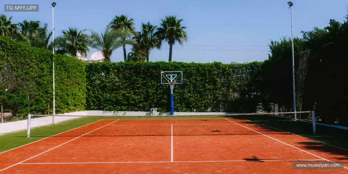 赛事激情,与你同频共振!💥